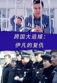 跨國大追捕:伊凡的複仇