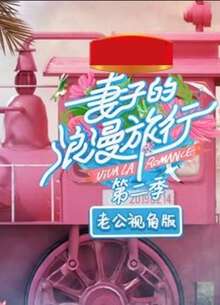 妻子的浪漫旅行2老公視角版