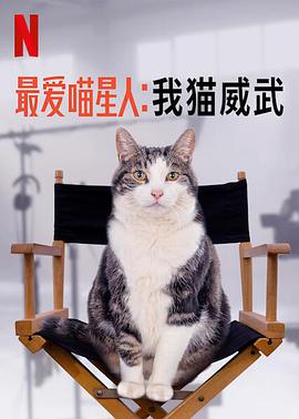 最爱喵星人:我猫威武