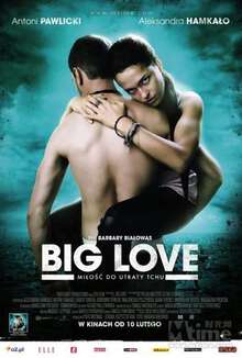 大愛/BigLove