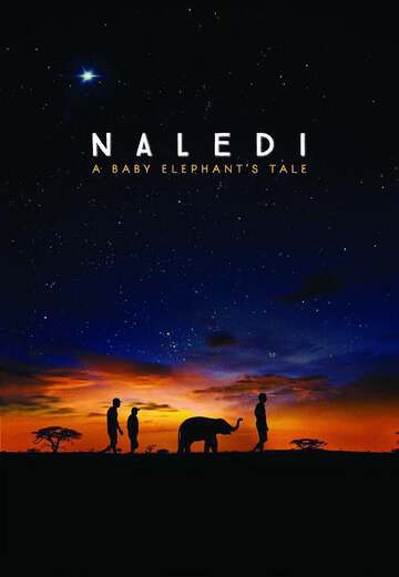 納勒迪:一隻小象的故事