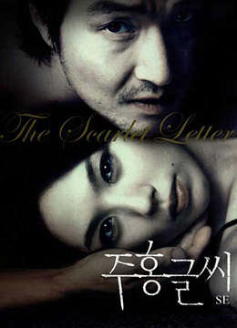 红字.TheScarletLetter.2004.KR.BluRay.1912x1048p.x264.AC3-KOOK.[韩语中字]