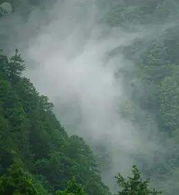 日本印象派水光和鳴